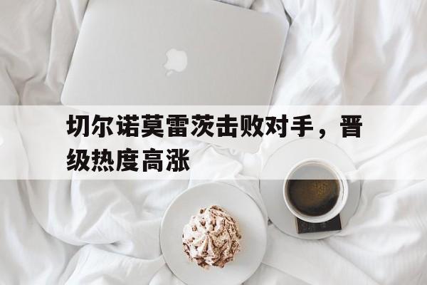 切尔诺莫雷茨击败对手，晋级热度高涨的简单介绍