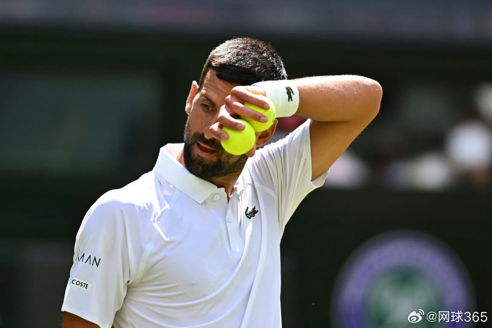 关于戴维斯杯完胜温网，辛纳高光表现的信息